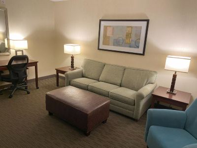 Other Drury Inn & Suites Detroit Troy Photo