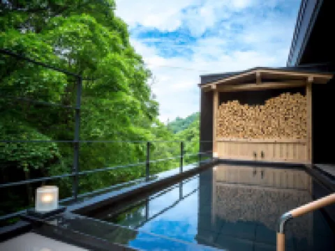 創業大正十五年 蓼科 親湯温泉 茅野のホテル