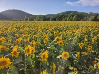 Farm Inn Anima No Sato