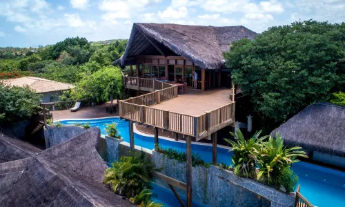 Sombra e Água Fresca Floresta