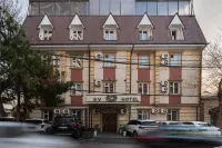 SV Hotel - بار