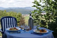 Hotel Hohe Flum - Wifi