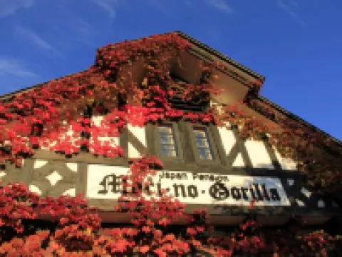 Country Inn Mori No Gorilla Hotels in Kitashiobara