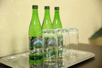 Green House Hotel Hotels in Zheleznovodsk