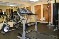 Best Western Plus the Woodlands