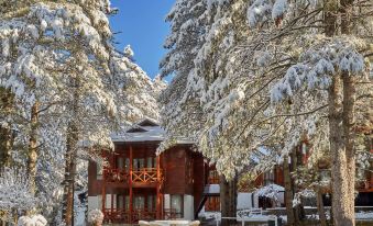 Welcomhotel by ITC Hotels, Pine N Peak, Pahalgam