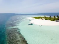 Turtle Maldives - Your Gateway to the Beach & Marine Adventures Await! - Wifi