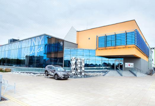 이비스 스타일스 시에들체