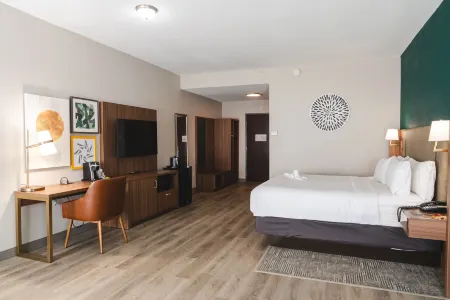 Holiday Inn Hou Energy Corridor Eldridge