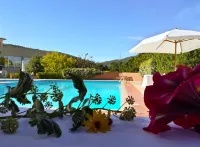 Pausania Inn - Pet friendly