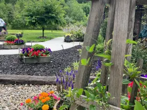 B&B Boutique a Michigan: le opzioni più popolari