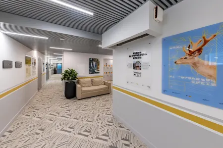 Karl House (Карл Хаус) Отели рядом с достопримечательностью «Комитет Земельных и Имущественных Отношений»