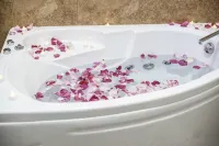 Vega Hotel Hotels in Solikamsk