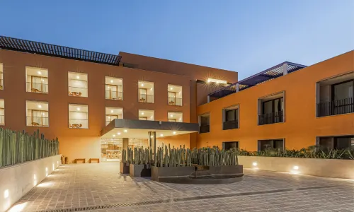 克萊維亞，聖米格爾-德阿連德，傲途格精選