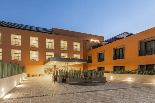 클레비아, 산미겔 데 아옌데, 오토그래프 컬렉션