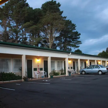The Tree Motel