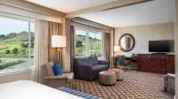 Sheraton Sonoma Wine Country Petaluma - Jacuzzi