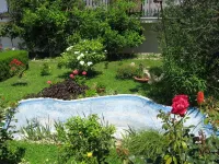 Apartments Bozana - Homestays