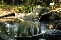 Shinwaen - Hot Springs