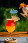 Samui Fishing Club and Resort - Bar