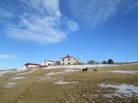Grásteinn Guesthouse - Pet friendly