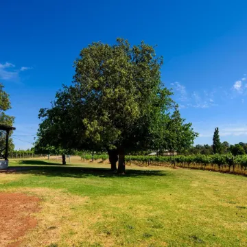 Upper Reach Spa Cottage