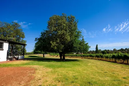 Upper Reach Spa Cottage Отели в г. Баскервилл