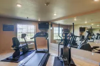 Cobblestone Inn & Suites - ORD - bar