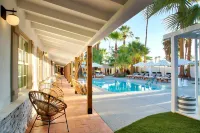 Dive Palm Springs - صديق للحيوانات الاليفة