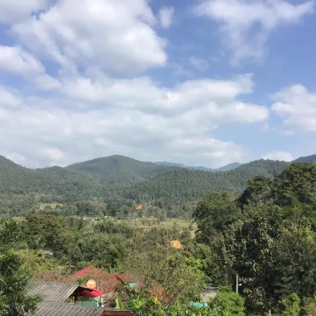 Forest Guest House