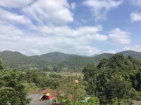 ฟอเรสต์ เกสต์เฮาส์ - วิวภูเขา