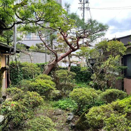 Hostel Murasaki Ryokan Отели рядом с достопримечательностью «Higashiyama Walking Course»