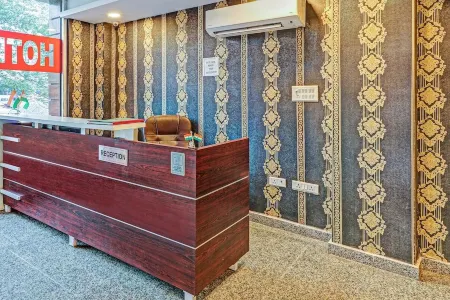 Treebo Silver Stallion