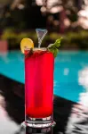 Jardin Hotels - bar