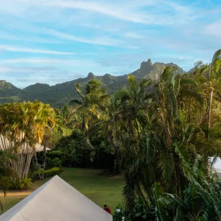 Ikurangi Eco Retreat