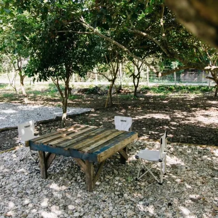 Baanfanglamoon