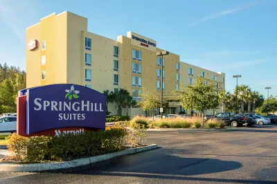 SpringHill Suites Tampa North/I-75 Tampa Palms Hôtels à : Wesley Chapel