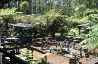 Woodlands Motel Hotels in Te Tii