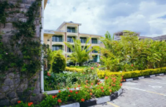 大猩猩火山飯店 住宿飯店