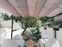 Coimbra Monumentais B&B - 3-Star