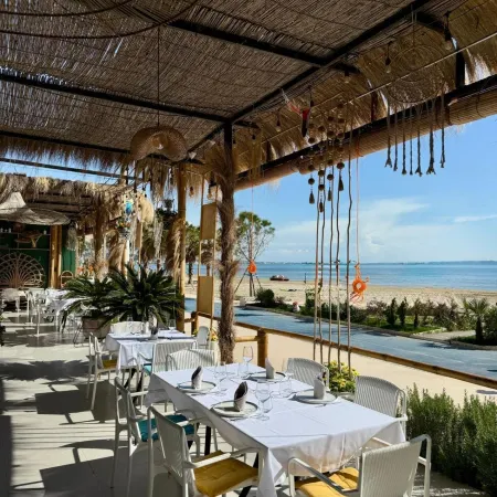 Hotel Saly