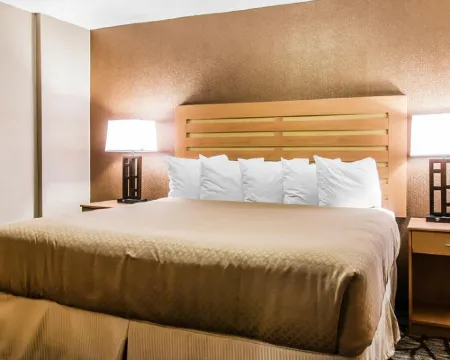 Quality Inn & Suites Warren - Detroit Hotels in Warren