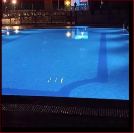 The Rudraksh  Hotel Отели в г. Чхатарпур