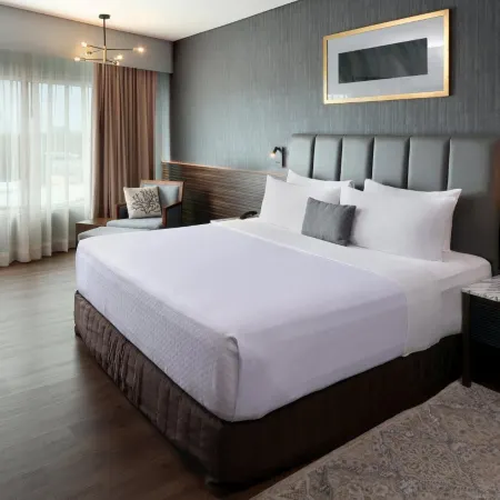 Crowne Plaza VILLAHERMOSA by IHG