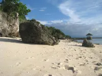 Dolphin House Resort Moalboal - Resorts