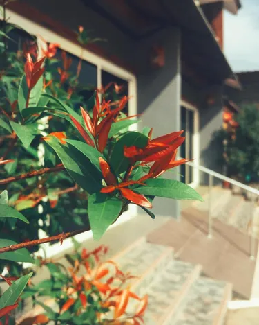 รูปภาพของบูทีค แฟมิลี่ รูม พิษณุโลก