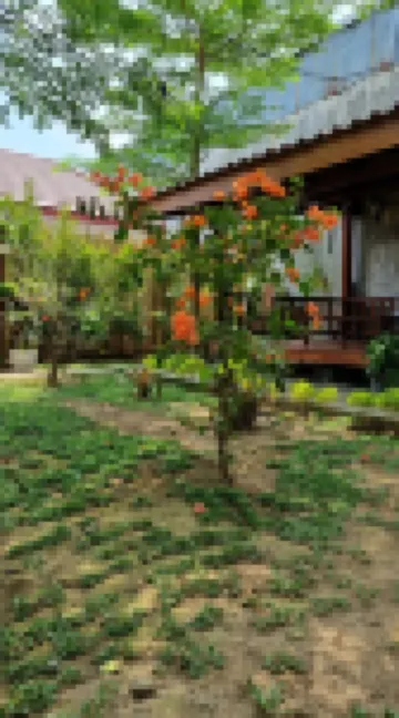 Vila Raja Banana Leaf Vila