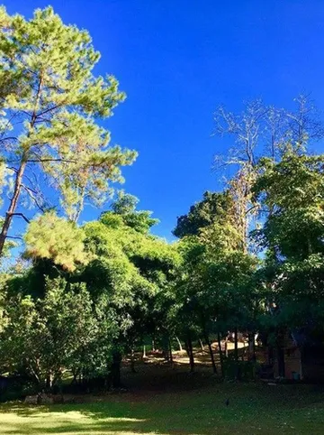 รูปภาพของจังเกิ้ล เกสต์เฮาส์