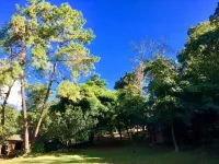 Jungle Guest House