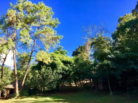 Jungle Guest House Отели в г. Pang Mapha